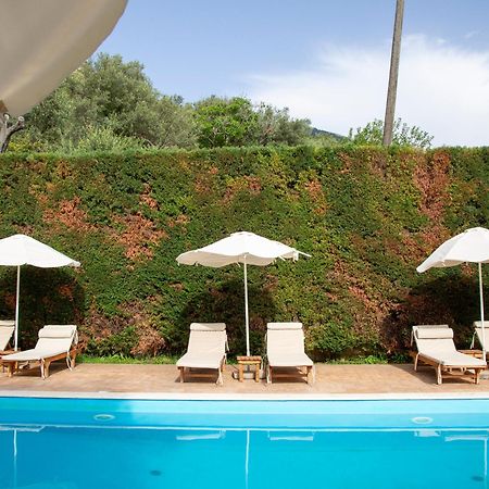 בורש Vila Florika Hotel מראה חיצוני תמונה
