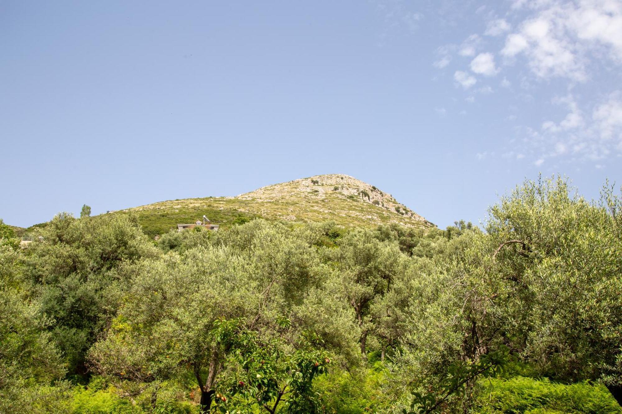 בורש Vila Florika Hotel מראה חיצוני תמונה