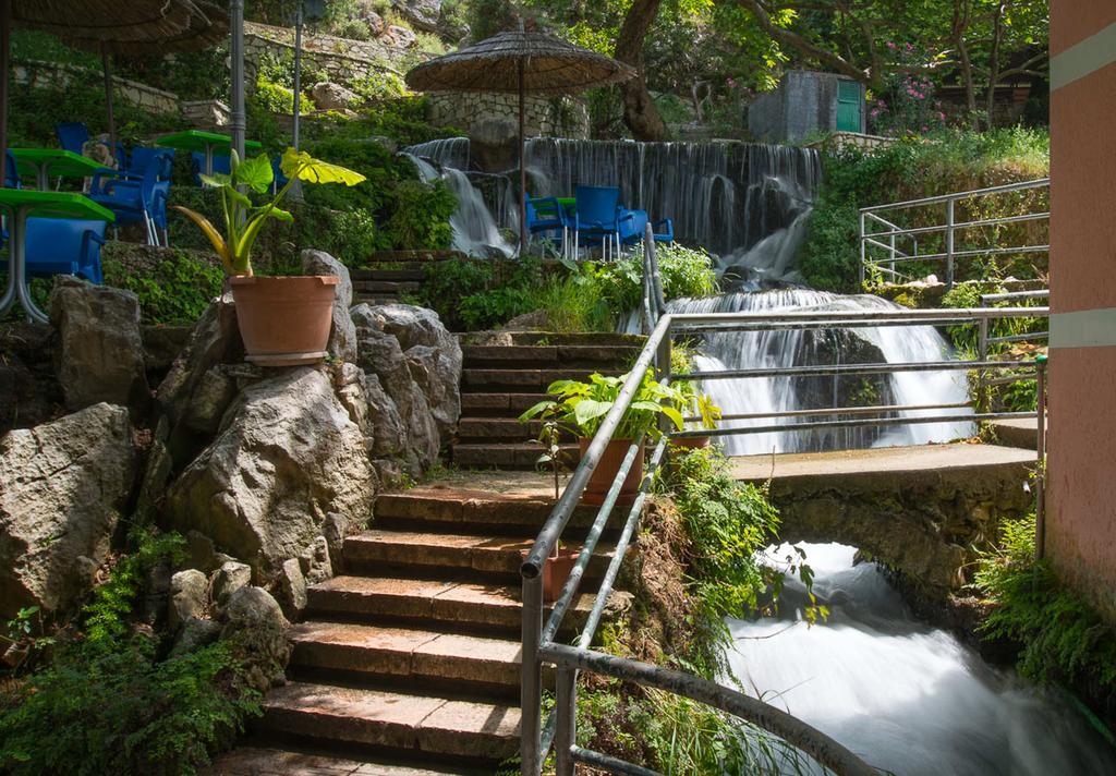 בורש Vila Florika Hotel מראה חיצוני תמונה