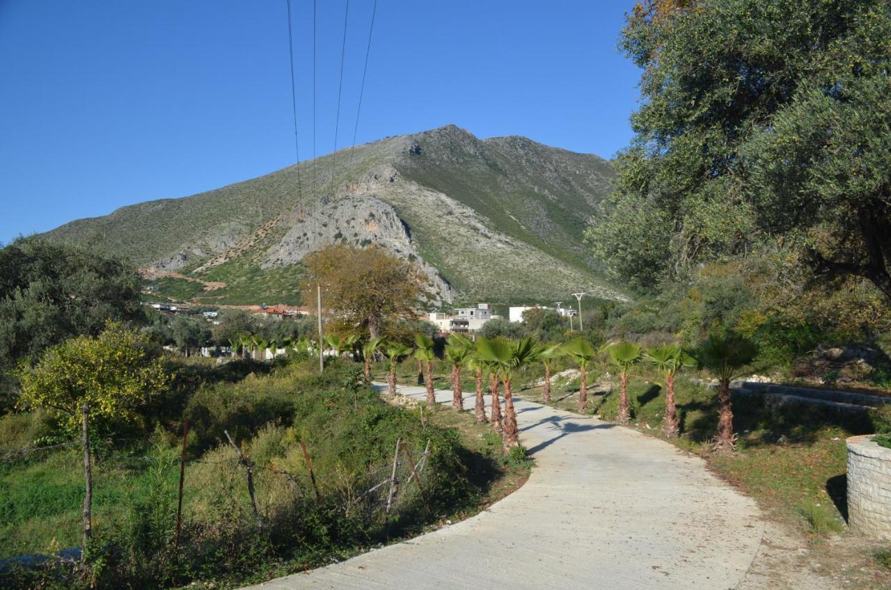 בורש Vila Florika Hotel מראה חיצוני תמונה